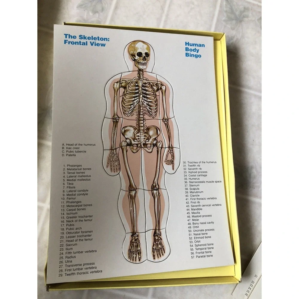 Vintage Human Body‎ Bingo Puzzle , Anatomy Biology Life Science Safari LTD